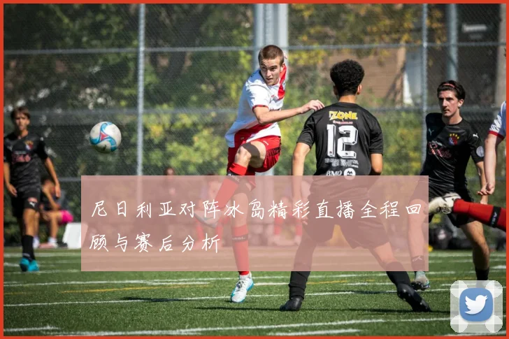 尼日利亚对阵冰岛精彩直播全程回顾与赛后分析