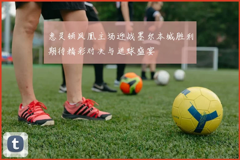惠灵顿凤凰主场迎战墨尔本城胜利期待精彩对决与进球盛宴
