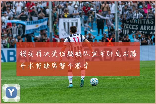 锡安再次受伤鹈鹕队宣布胖虎右膝手术将缺席整个赛季