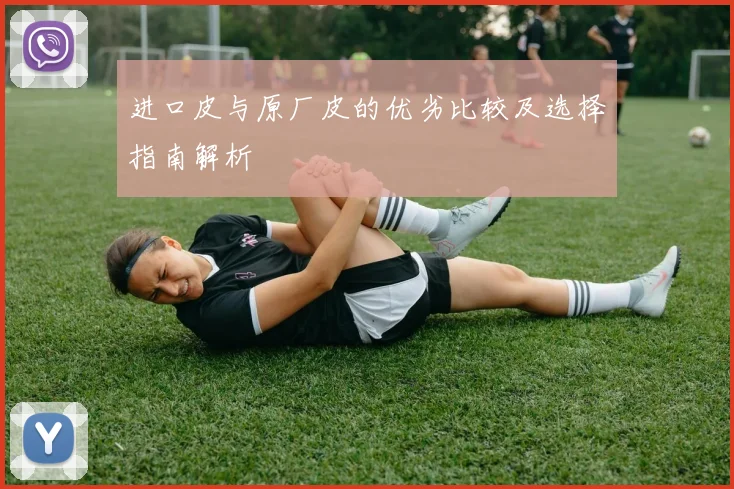 进口皮与原厂皮的优劣比较及选择指南解析